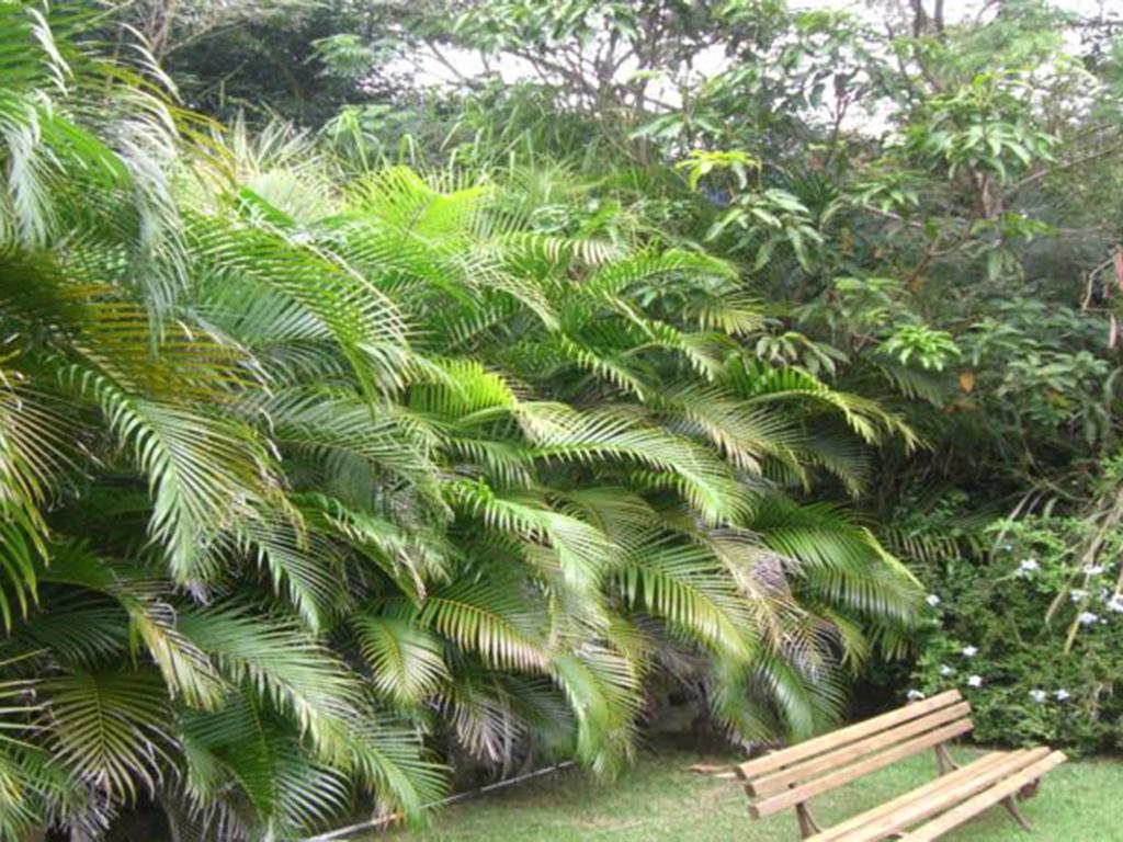 Htl Telhado Verde Armacao dos Buzios Exterior photo